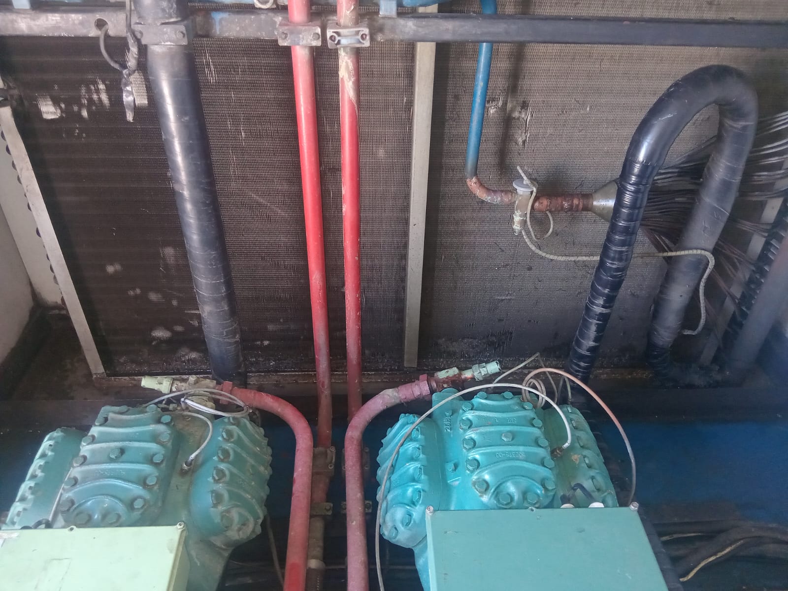 Twin Bitzer compressors with insulated suction lines