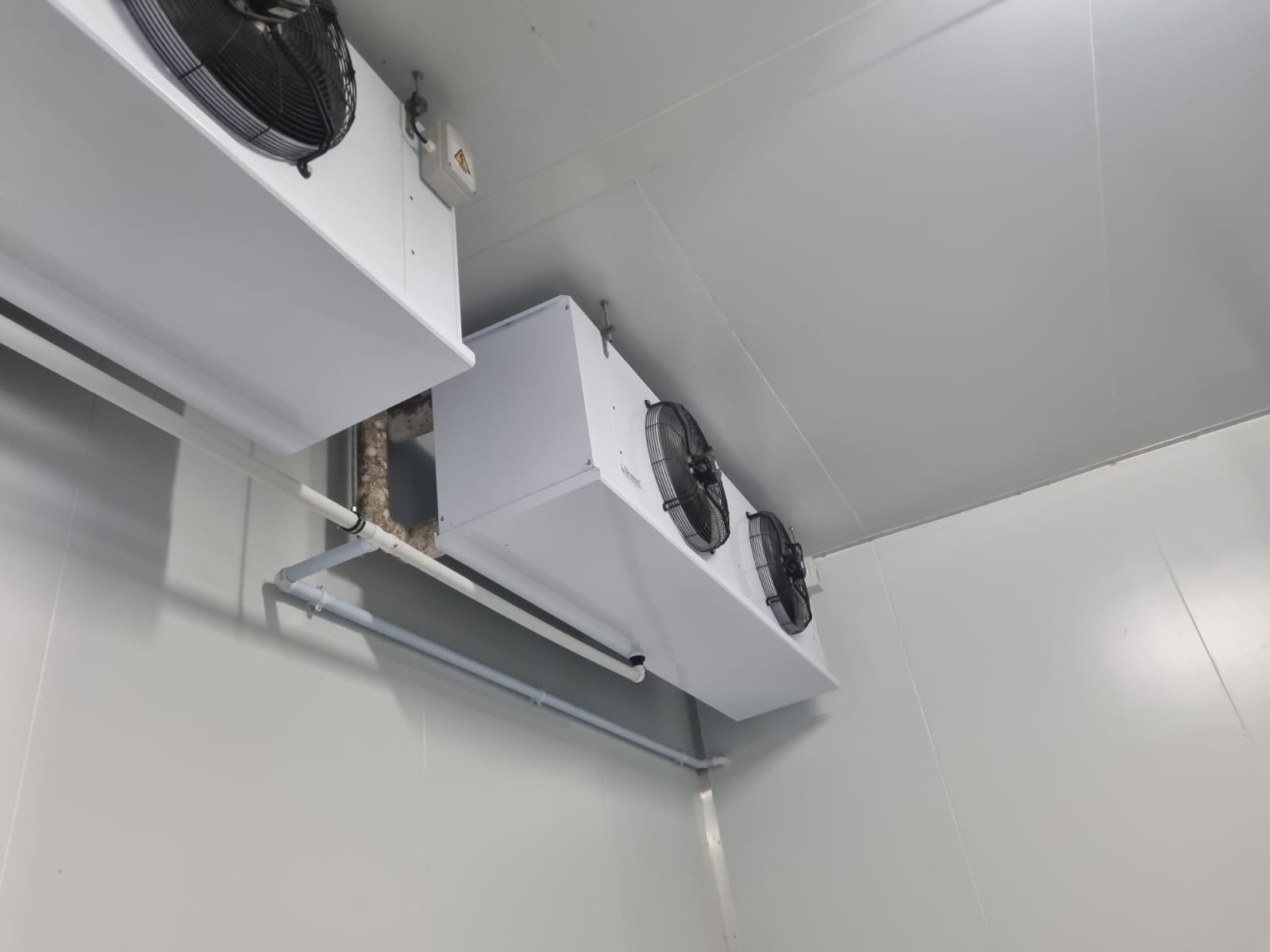 Cold-room evaporator pair — glycol-fed dual unit install