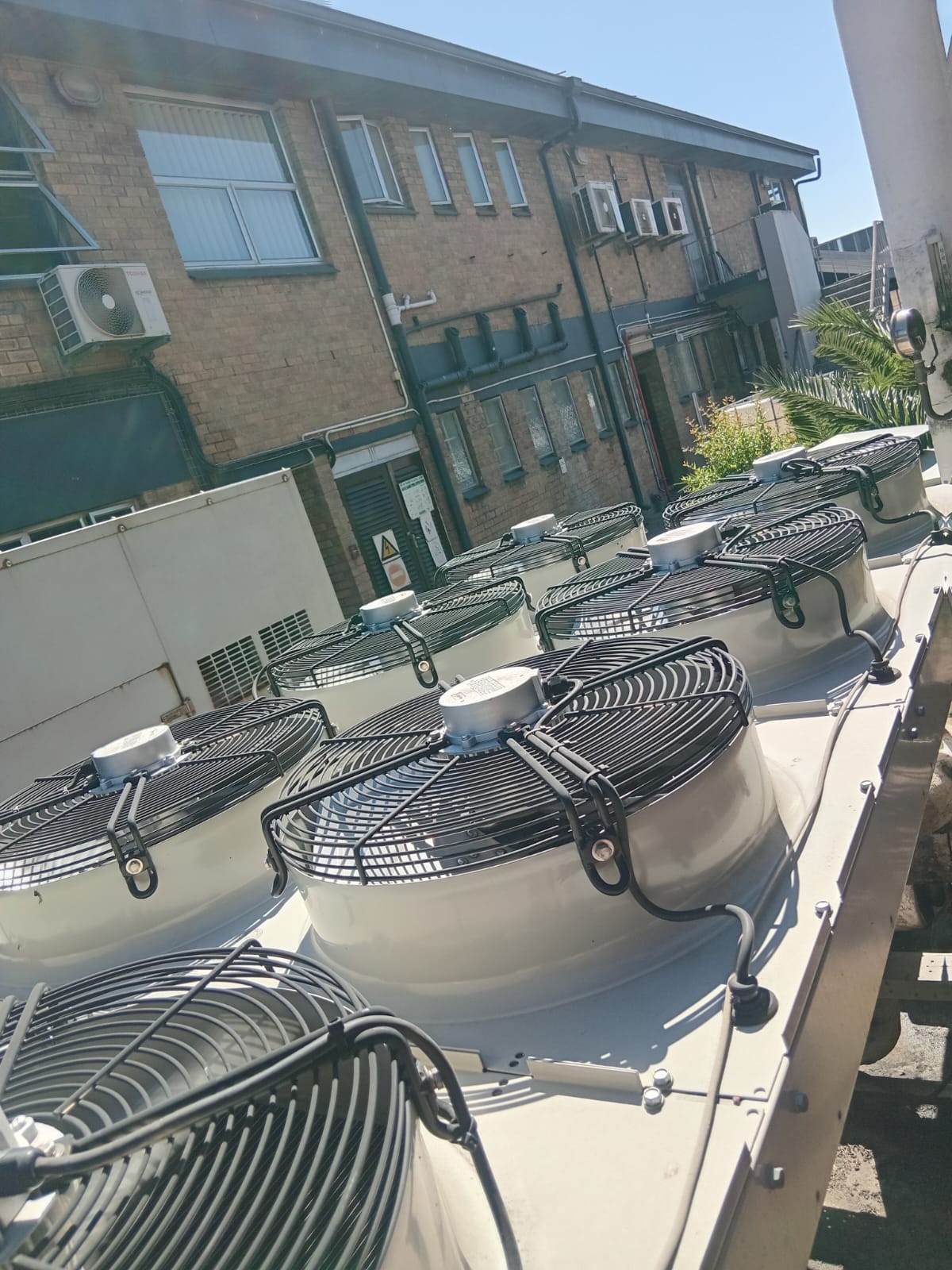 Multi-fan rooftop glycol chiller bank — full installation